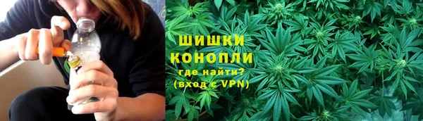 PSILOCYBIN Аркадак