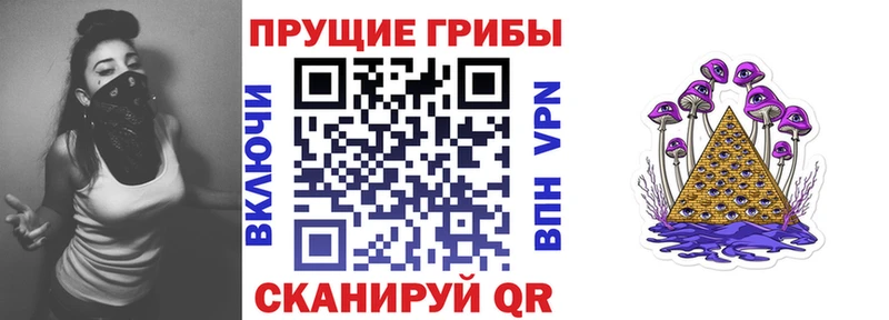 продажа наркотиков  hydra   Псилоцибиновые грибы Cubensis  Дыгулыбгей 